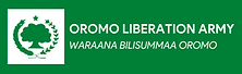 Site Footer Logo .png